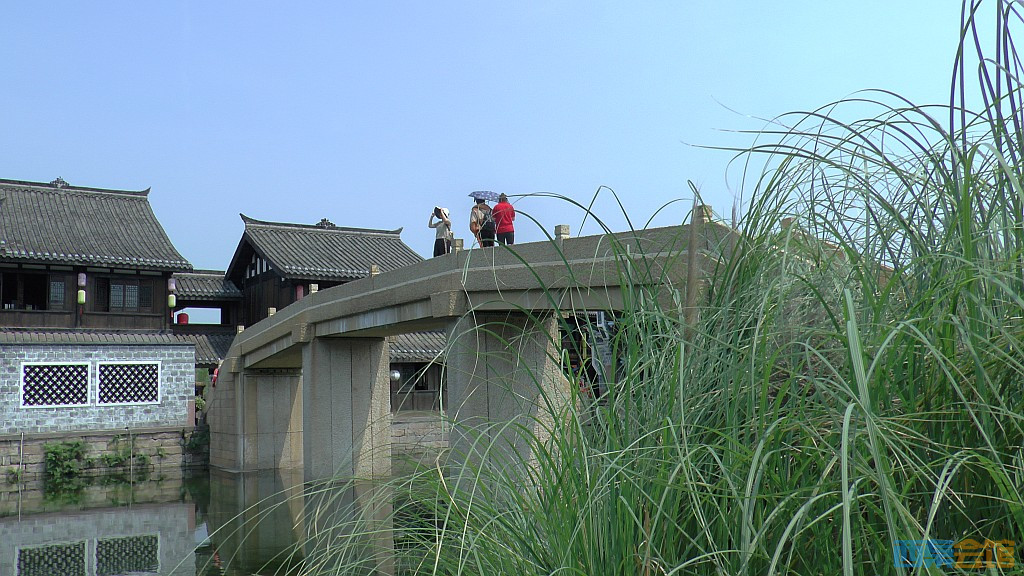 conew_S1650076.jpg