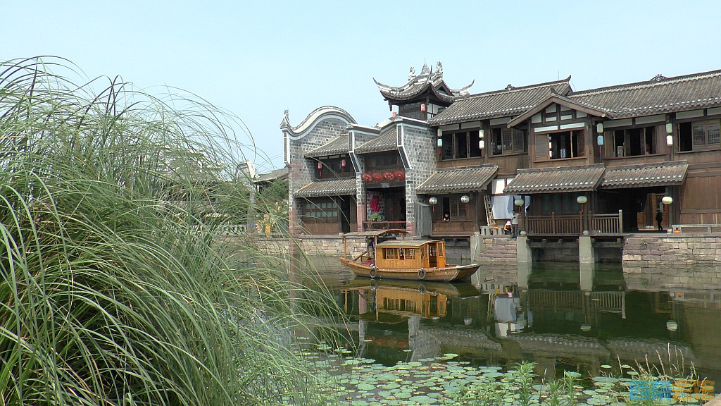 conew_s1650084.jpg