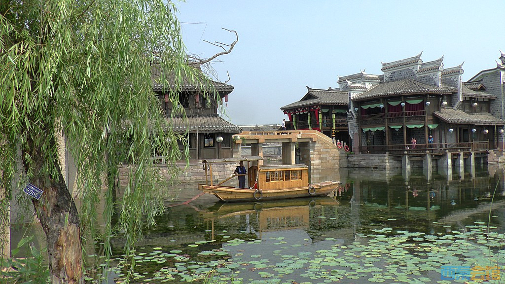 conew_s1650087.jpg