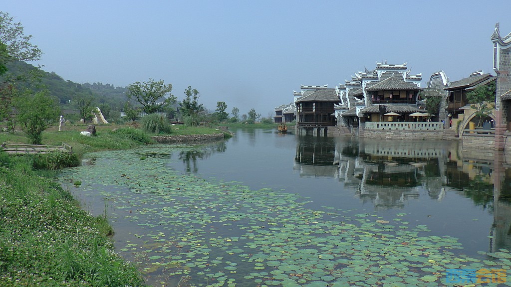 conew_s1650077.jpg
