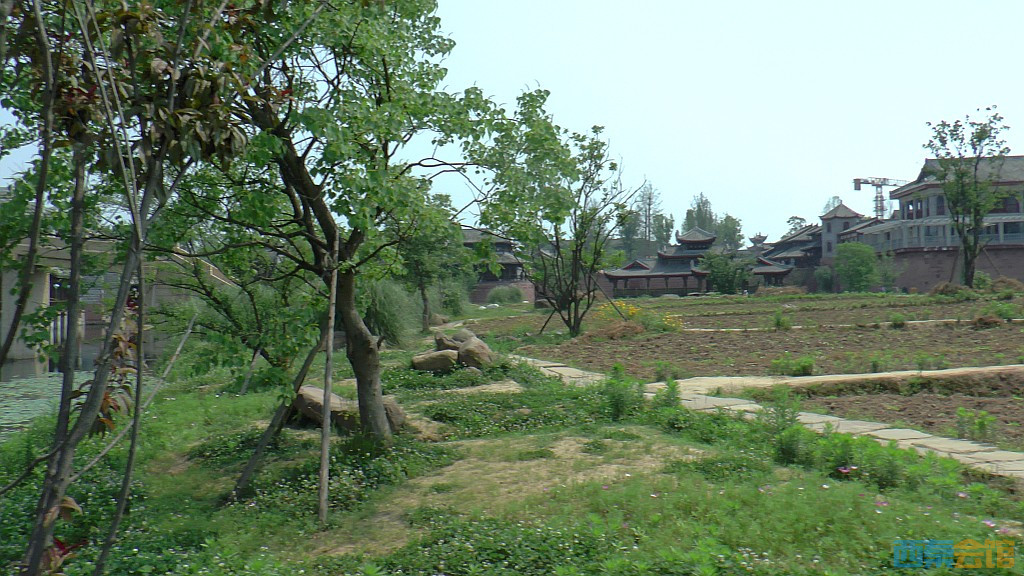 conew_s1650090.jpg