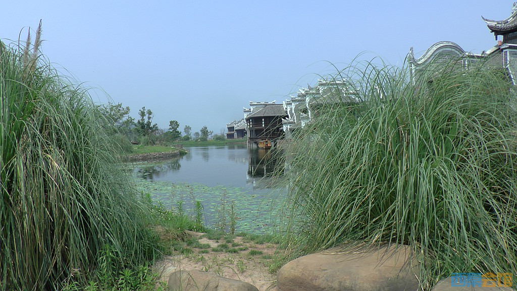 conew_s1650080.jpg