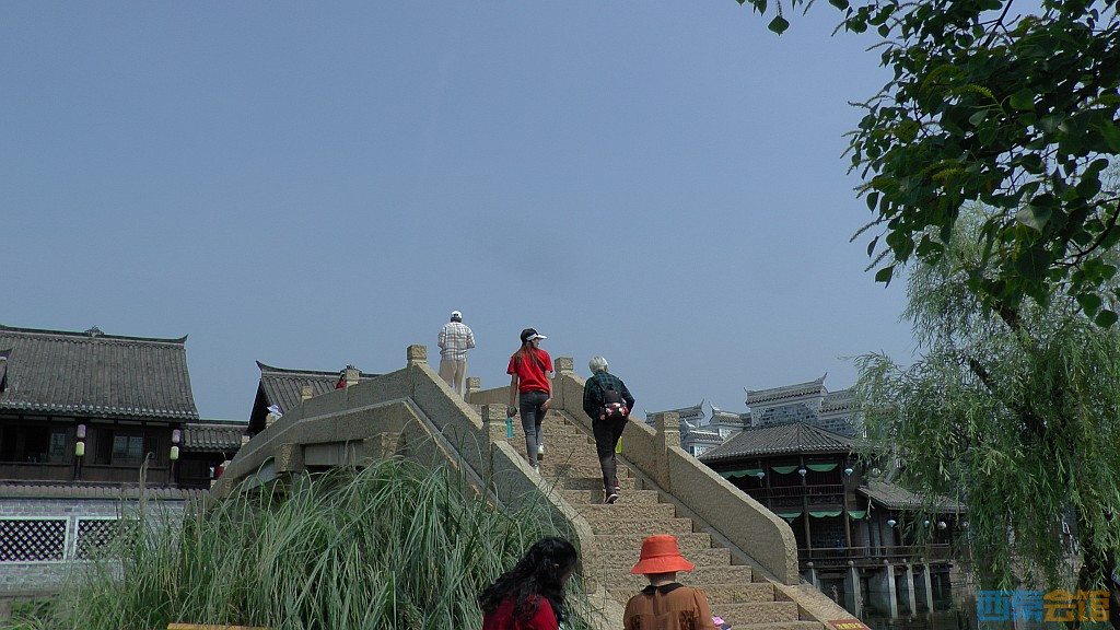conew_s1650081.jpg