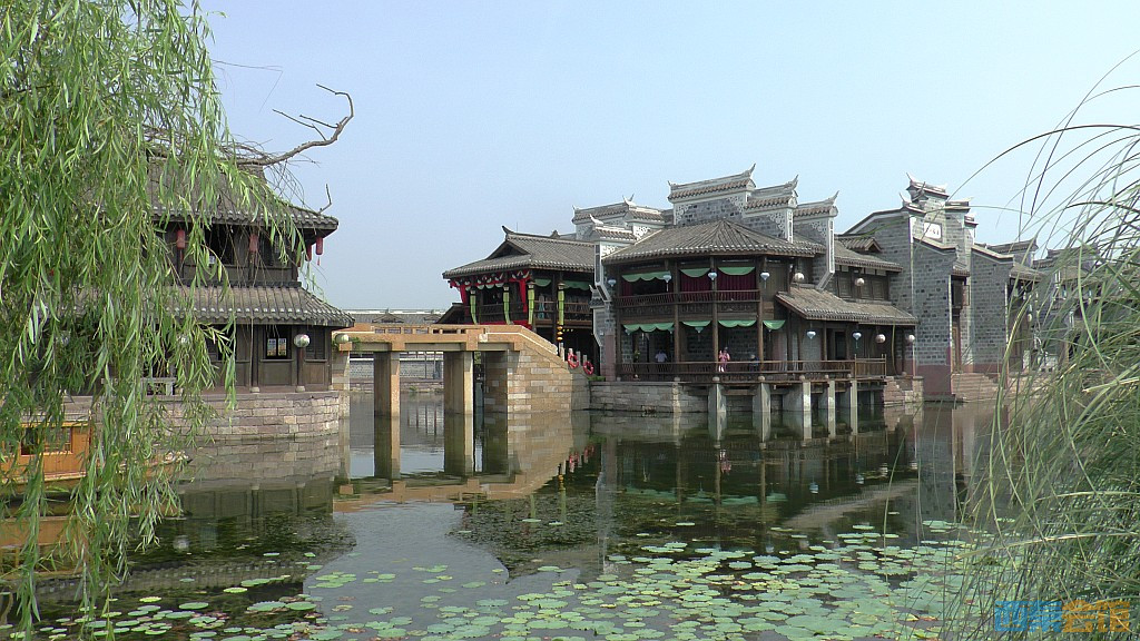 conew_s1650086.jpg
