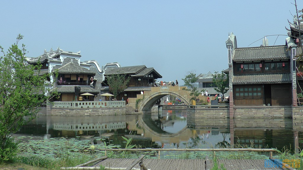 conew_s1650088.jpg