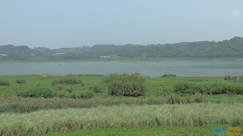 conew_s1650091.jpg