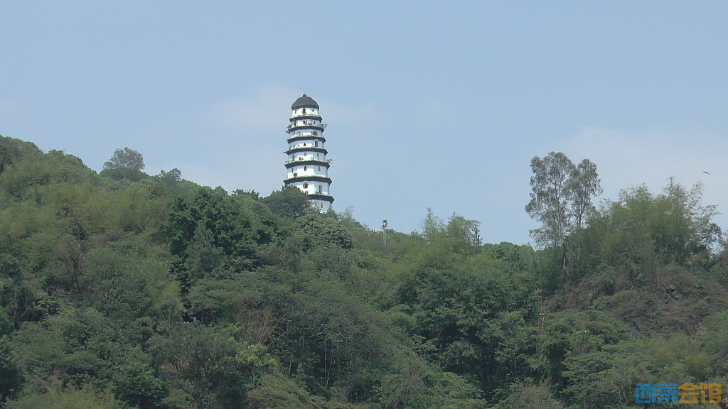 conew_s1650101.jpg