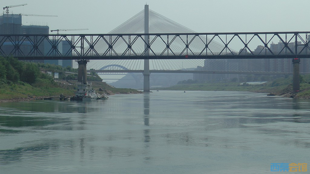 conew_s1650127.jpg