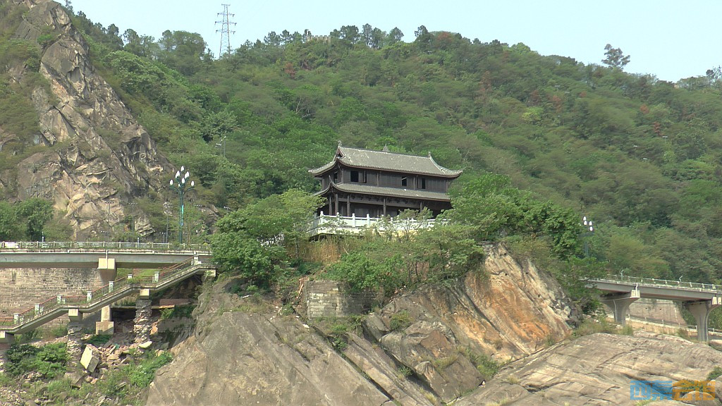 conew_s1650116.jpg