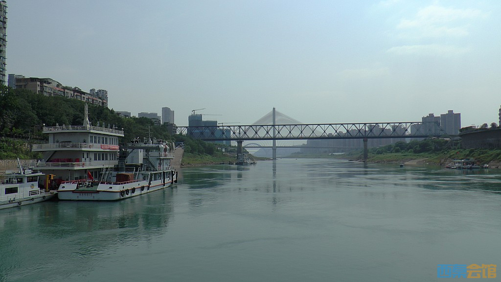 conew_s1650126.jpg