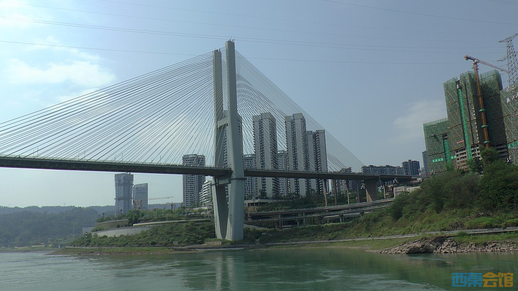 conew_s1650143.jpg