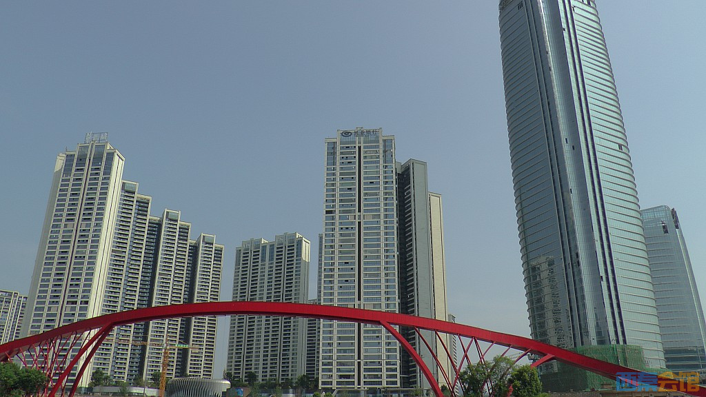 conew_s1650157.jpg