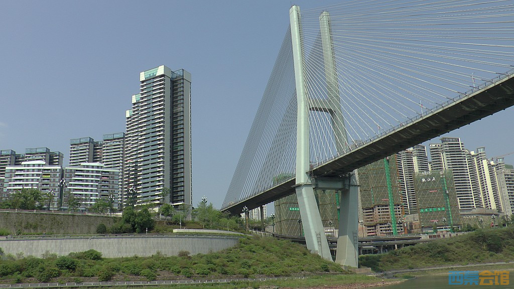conew_s1650141.jpg
