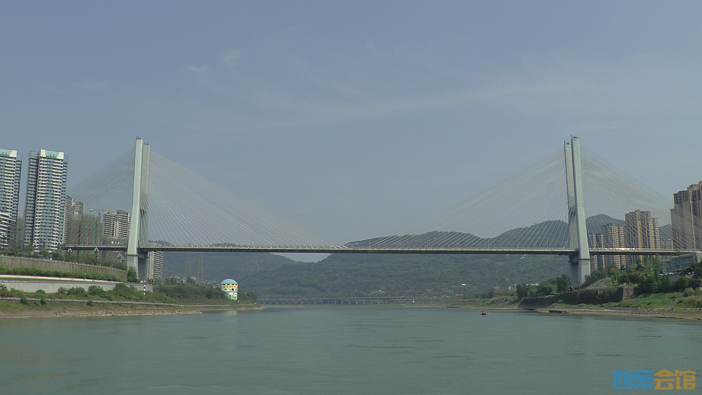 conew_s1650140.jpg