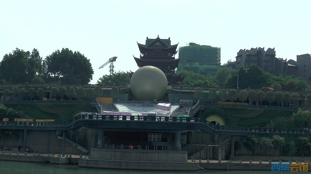 conew_s1650159.jpg