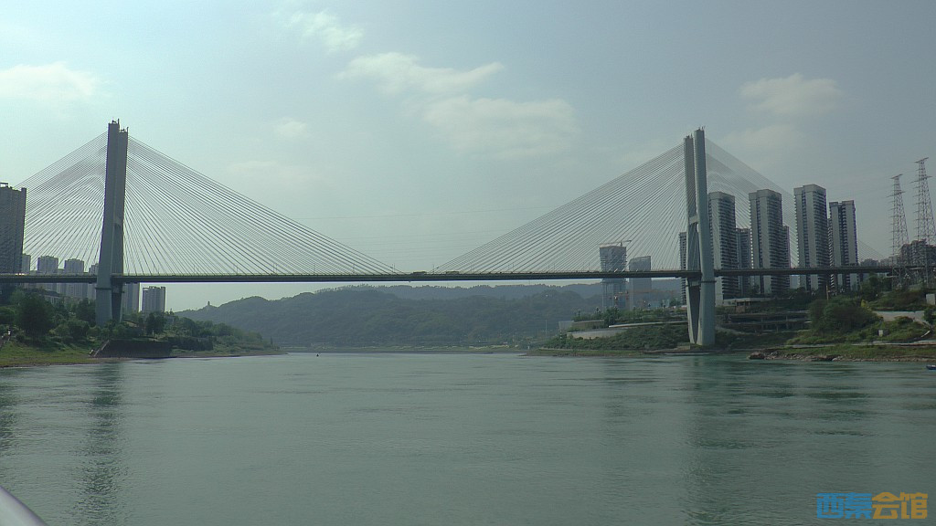 conew_s1650145.jpg