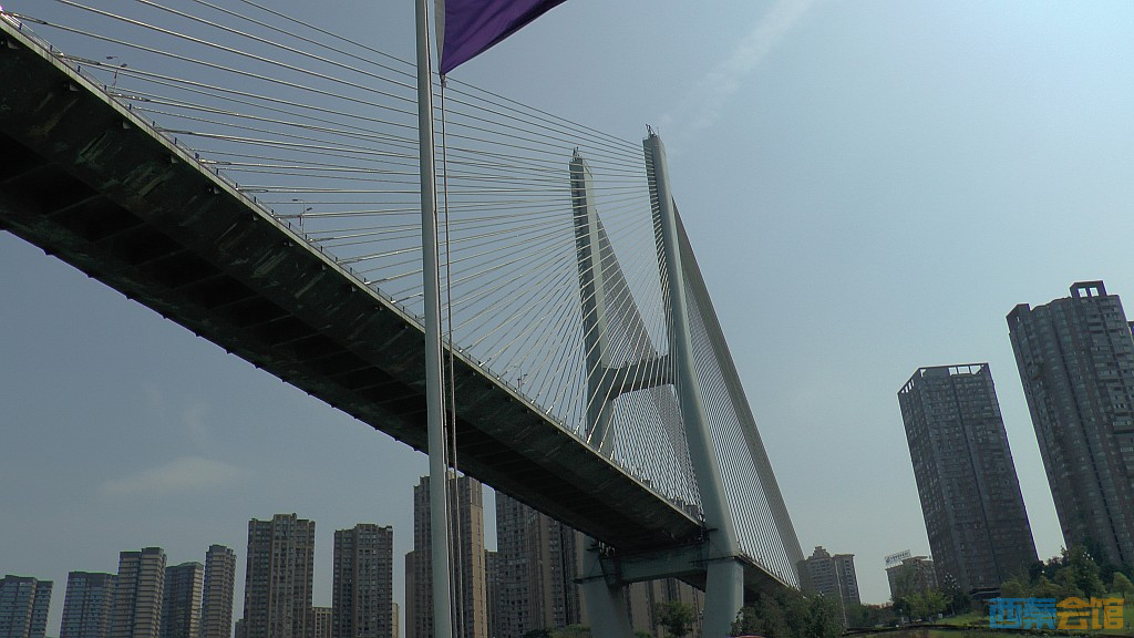 conew_s1650142.jpg