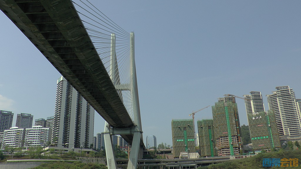conew_s1650150.jpg