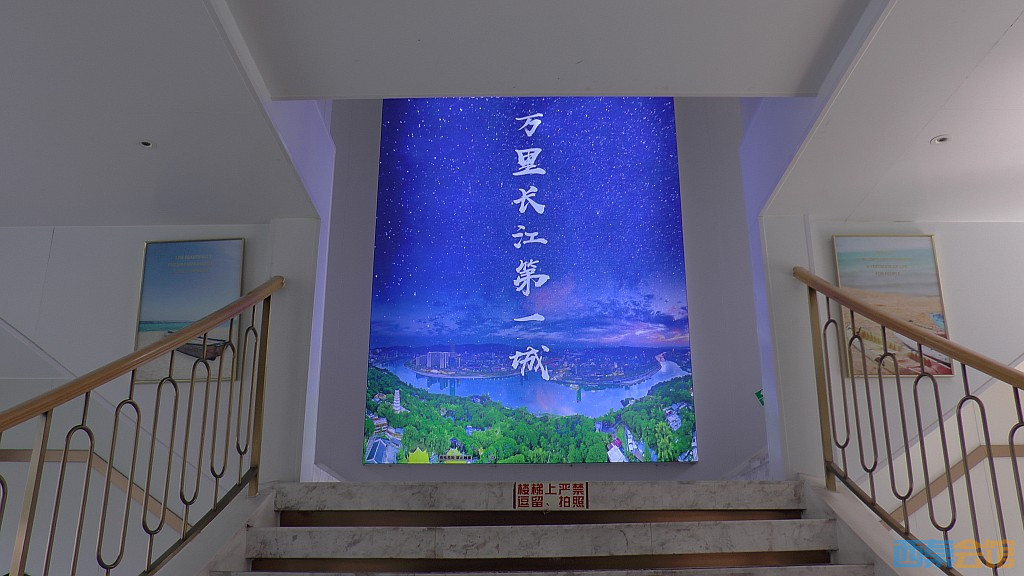 conew_s1650165.jpg