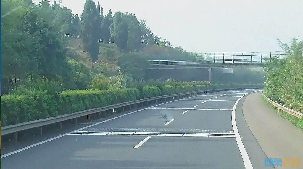 conew_qq��ͼ20230527081717.jpg