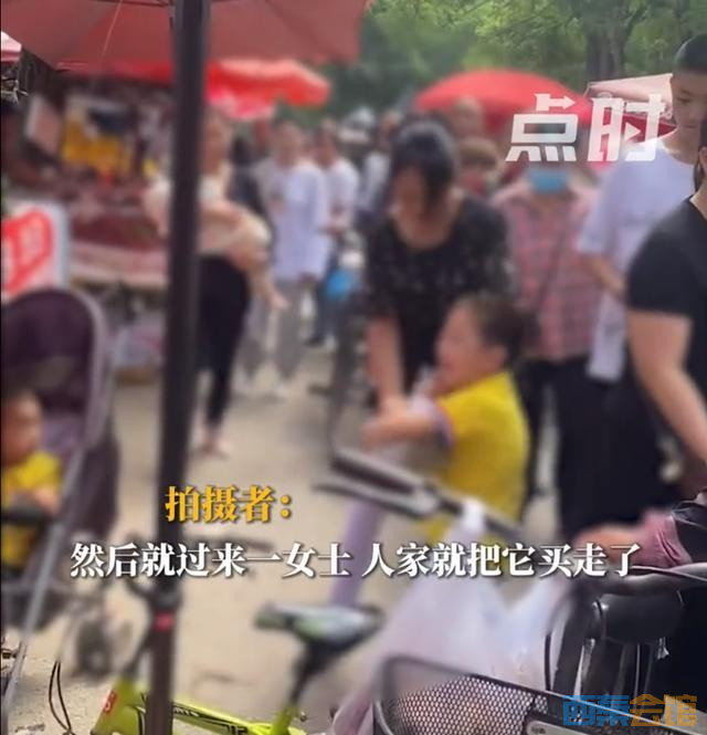 08e95010-4634-4825-a815-5b9eb33092dc.jpg
