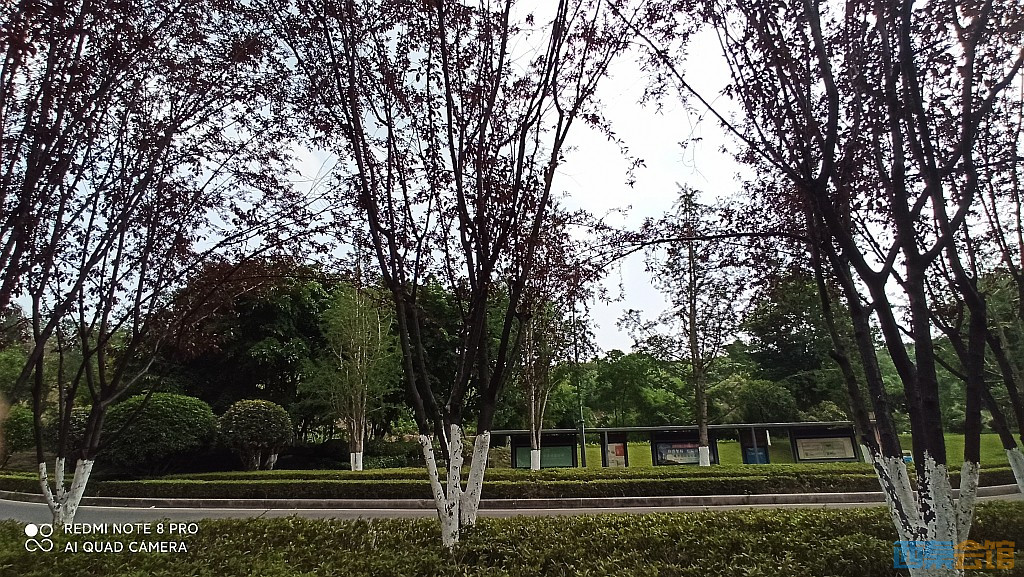 conew_1685521741710.jpg