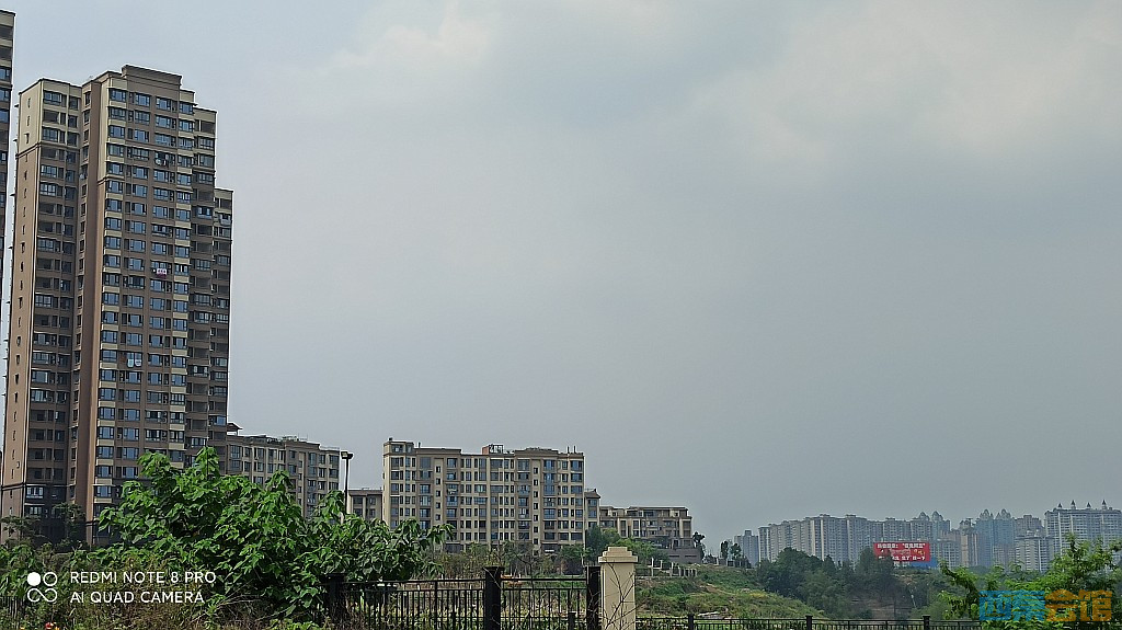 conew_1685521741912.jpg