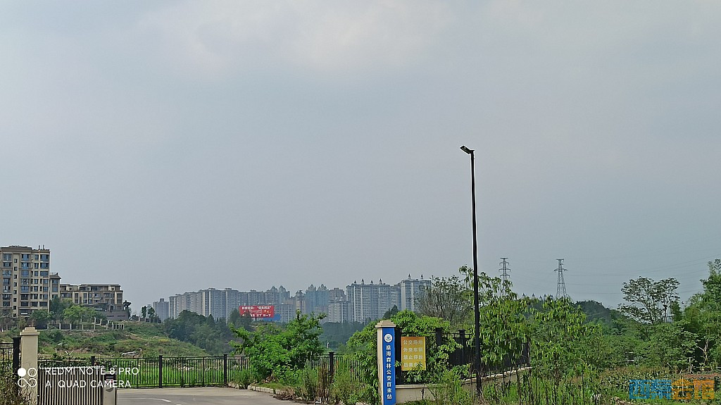 conew_1685521741928.jpg