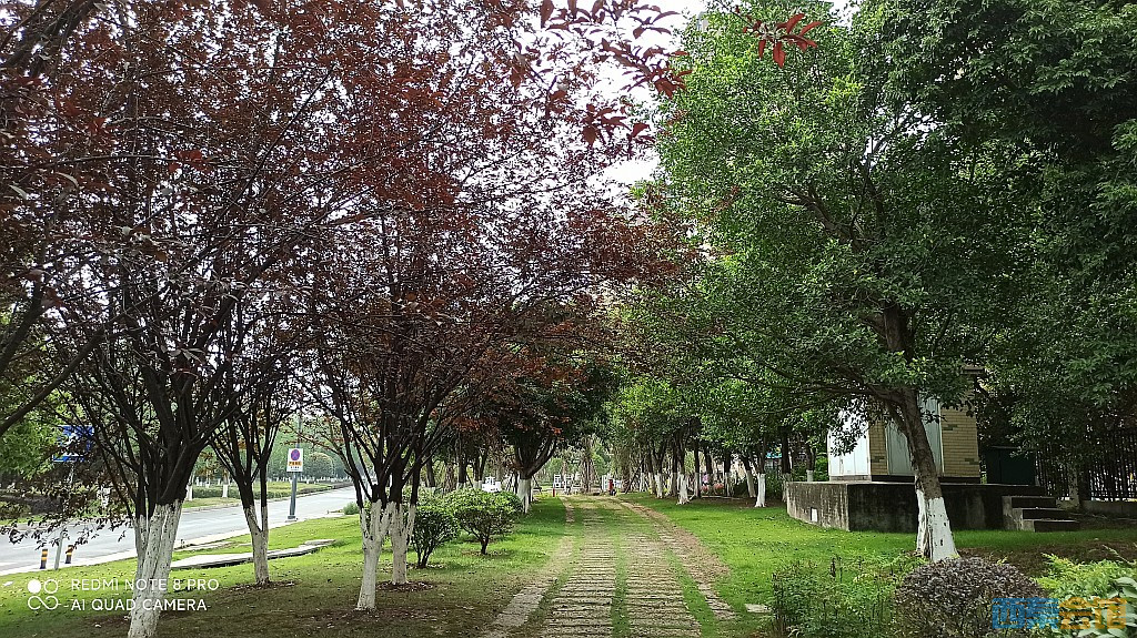 conew_1685521741694.jpg