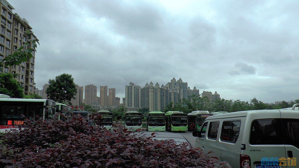 conew_s1650176.jpg