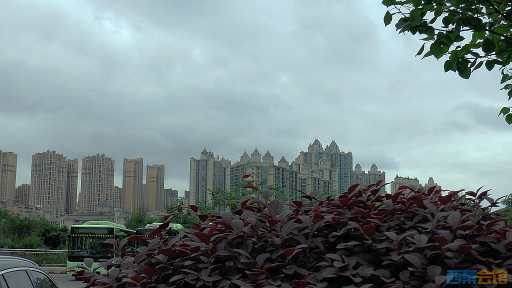 conew_s1650178.jpg