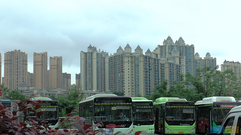 conew_s1650177.jpg
