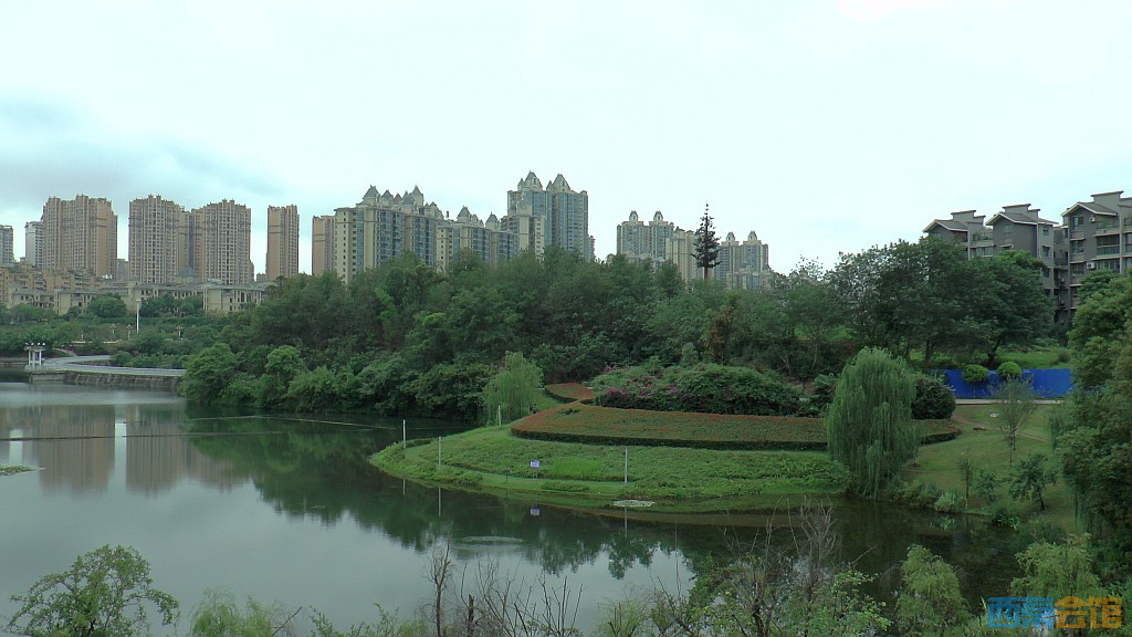 conew_s1650190.jpg