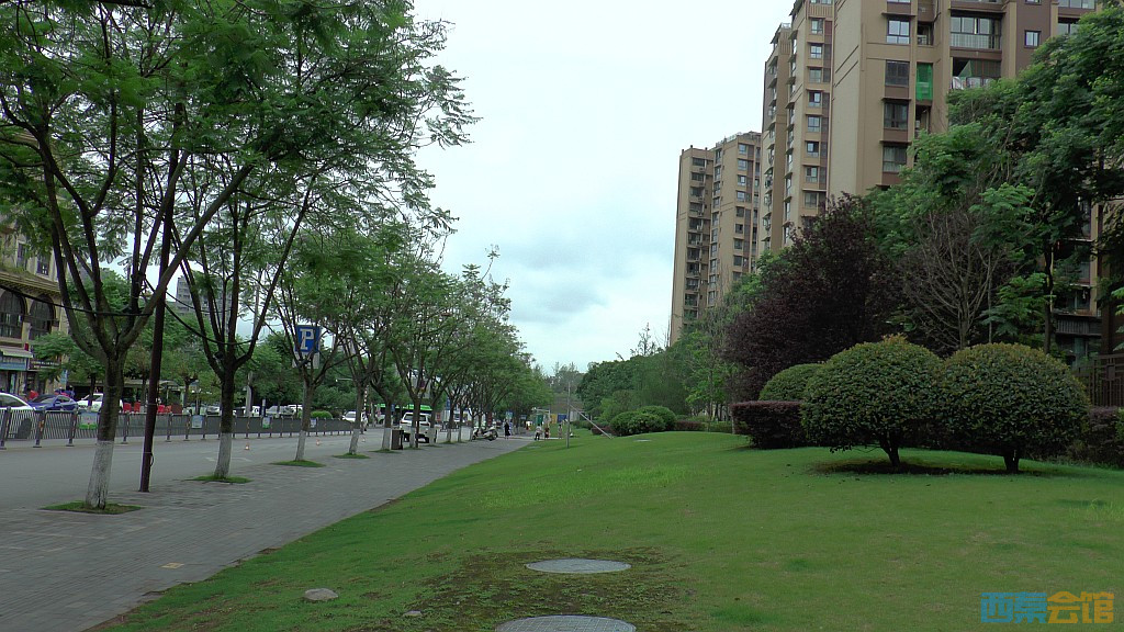 conew_s1650174.jpg