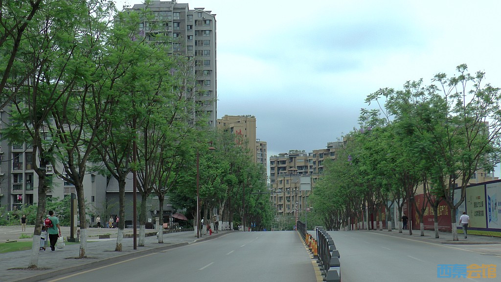 conew_s1650191.jpg