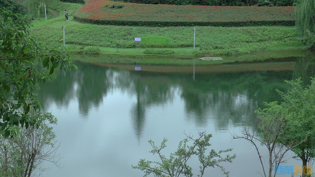 conew_s1650183.jpg