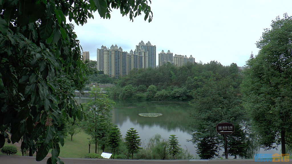 conew_s1650179.jpg