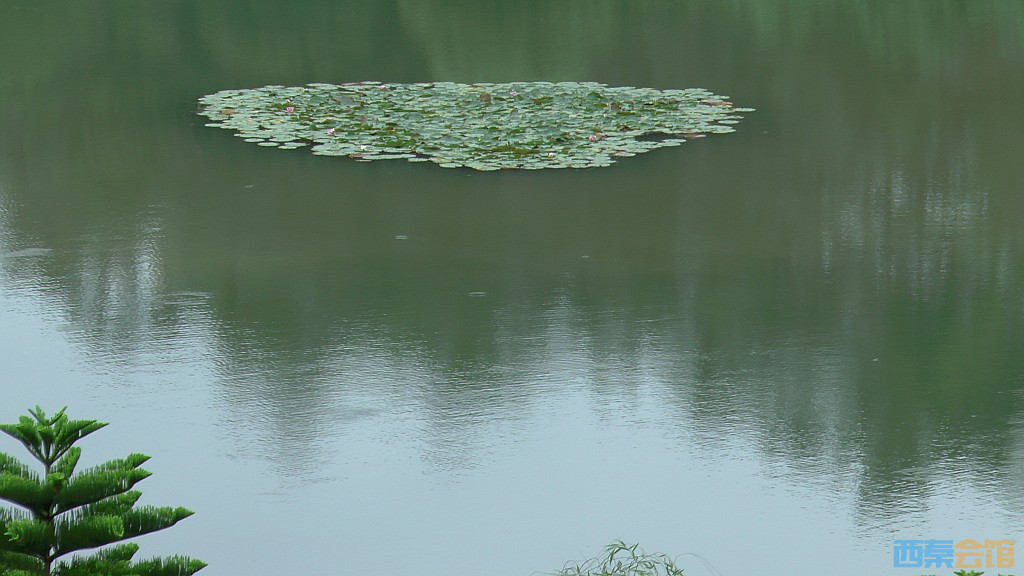 conew_s1650180.jpg