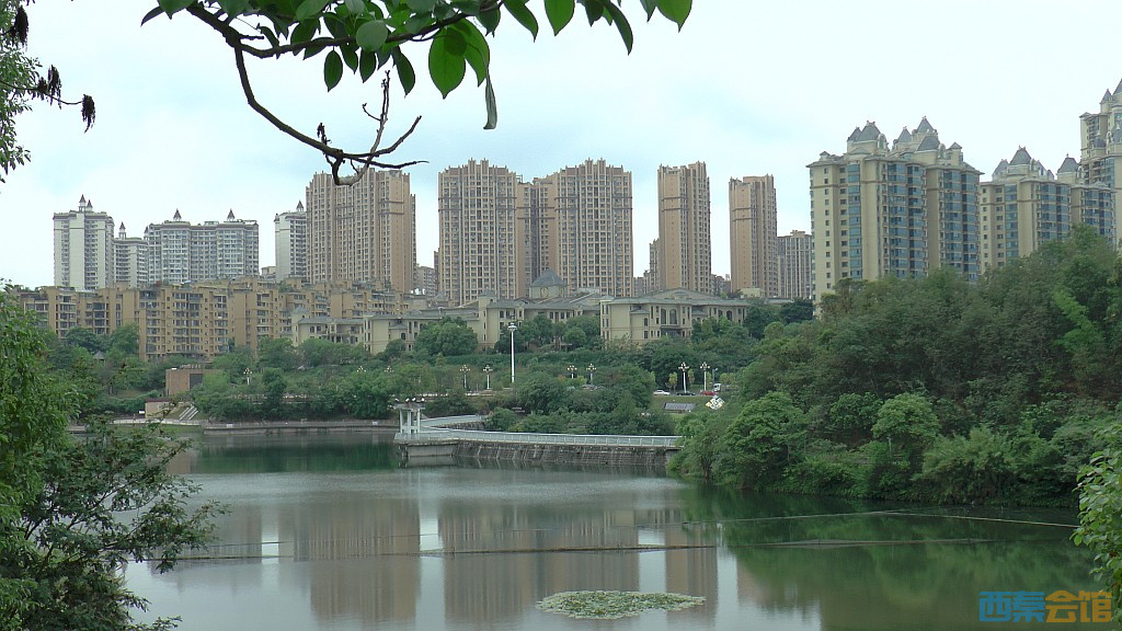 conew_s1650185.jpg