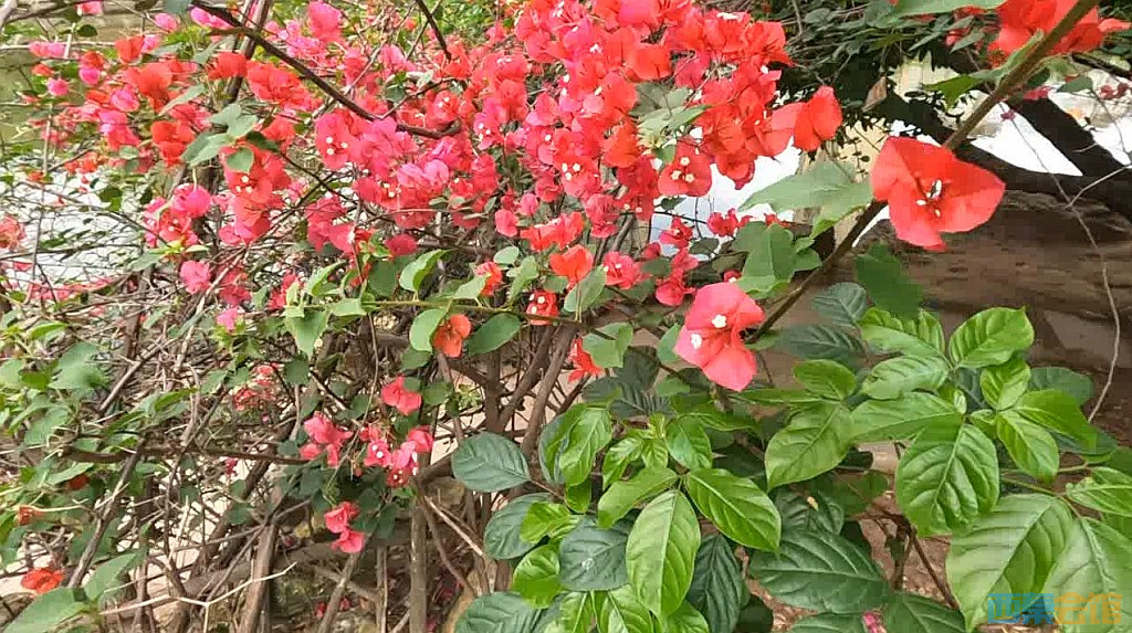 conew_qqͼ20230614174043.jpg