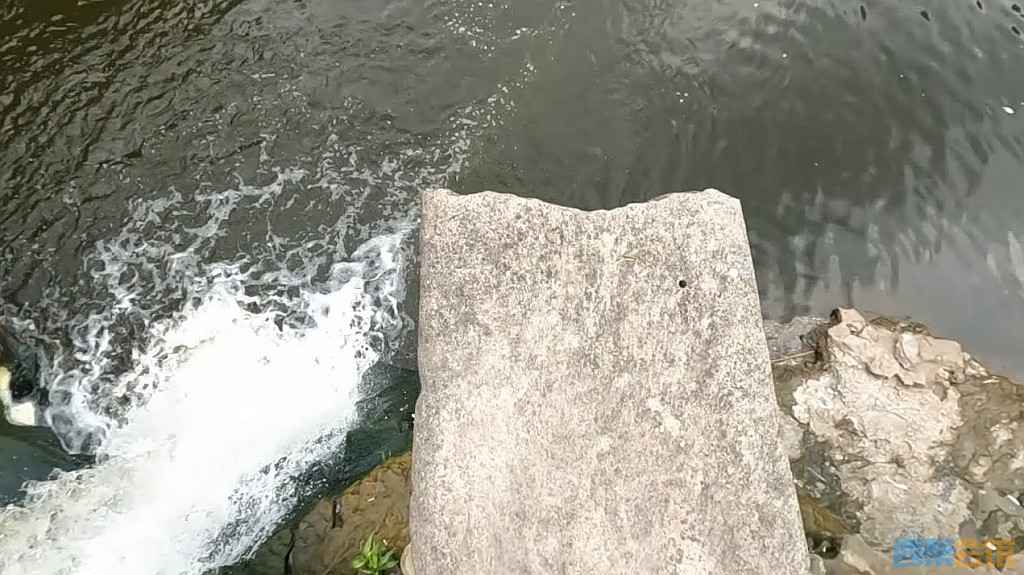 conew_qqͼ20230614181228.jpg