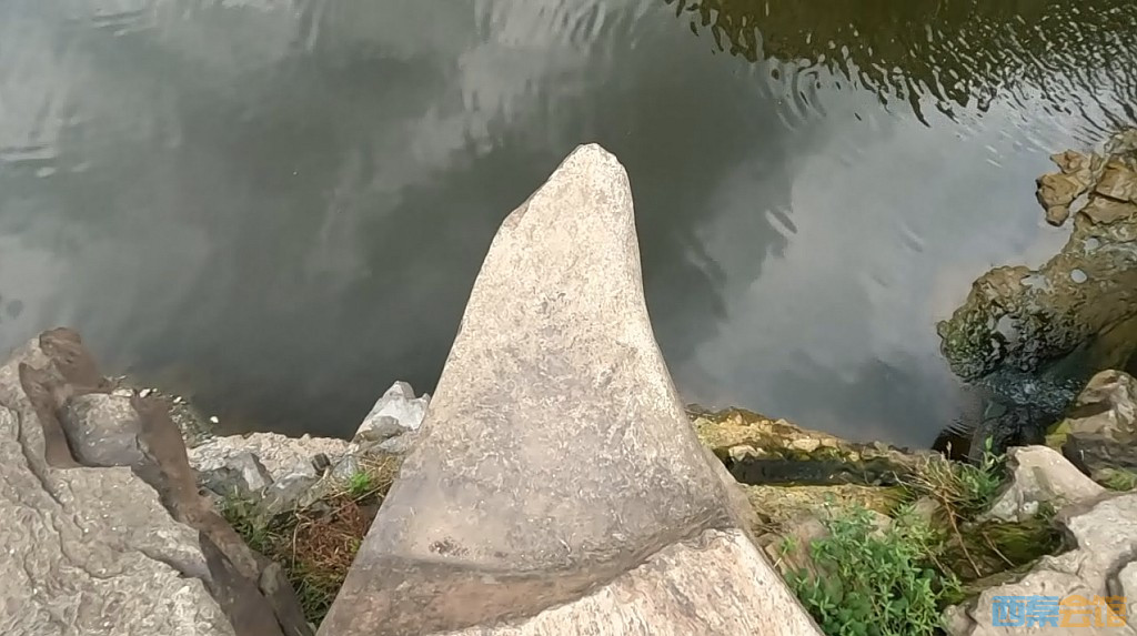 conew_qqͼ20230614181514.jpg