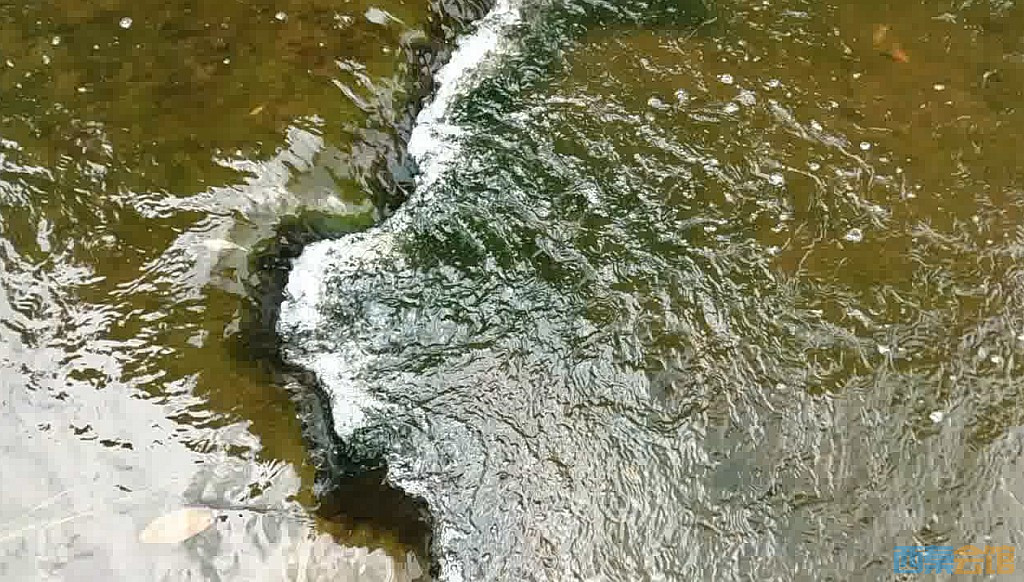 conew_qqͼ20230614180603.jpg