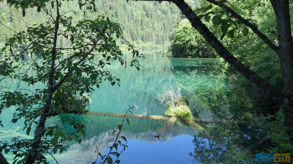 ʽDSCN6328_conew1.jpg