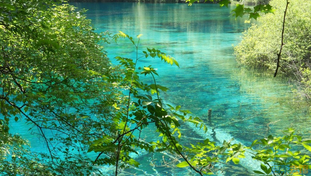 ʽDSCN6366_conew1.jpg
