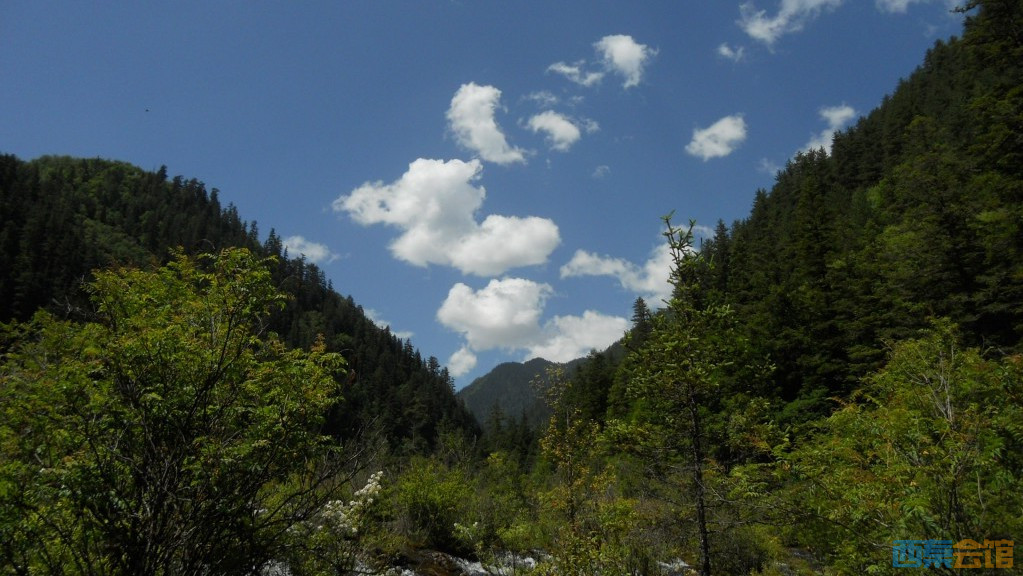 ʽDSCN6382_conew1.jpg