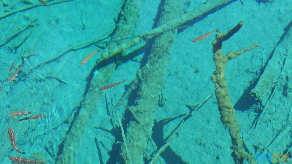 ʽDSCN6345_conew1.jpg
