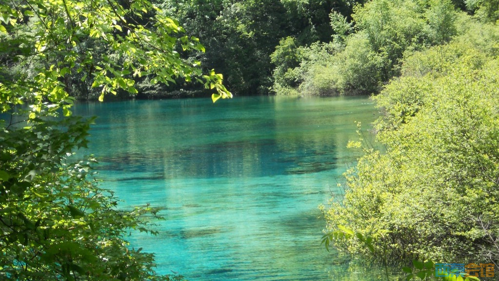 ʽDSCN6367_conew1.jpg