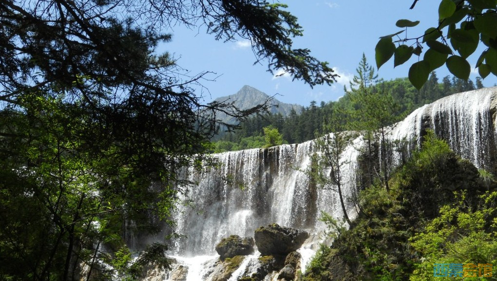 ʽDSCN6395_conew1.jpg