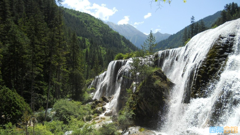 ʽDSCN6389_conew1.jpg